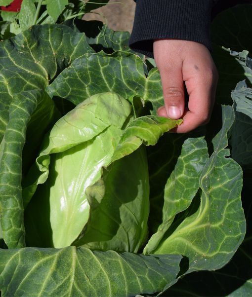 Agroecología_Foto
