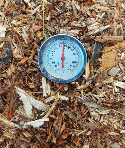 Termómetro en pila de compost
