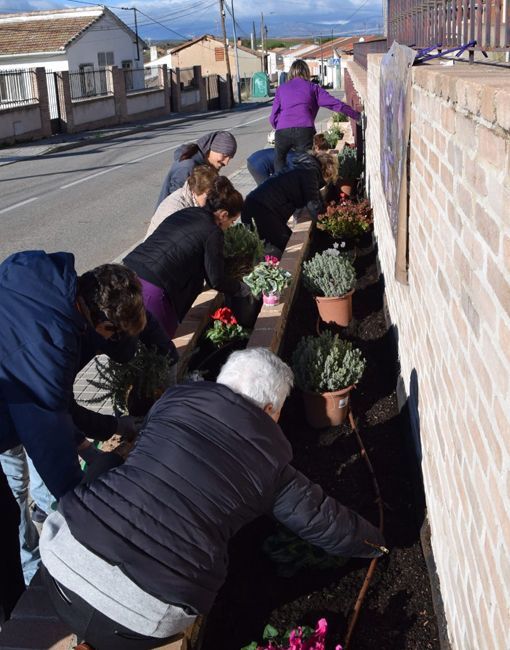 Voluntarios_25N